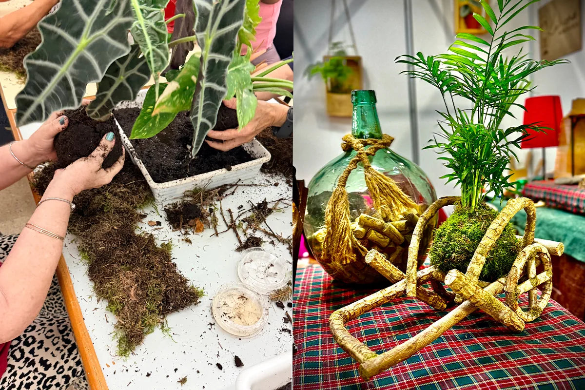 A la izquierda, unas manos amasando el sustrato junto al musgo extendido sobre la mesa; a la derecha, una kokedama de palmera ya terminada, con la bola de musgo apoyada en un soporte de madera