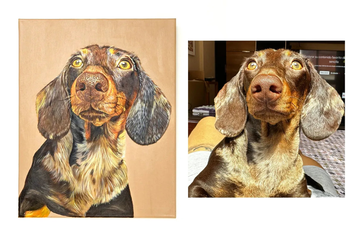 A la izquierda, el retrato pintado de un teckel color chocolate mirando hacia arriba; a la derecha, la fotografía del mismo perro en la misma pose. Obra de Andrea de @kaizen.petss