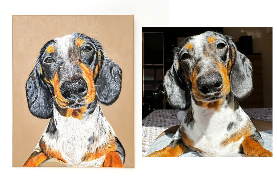 A la izquierda, el retrato pintado de un teckel arlequín gris y canela sobre lienzo de fondo beige; a la derecha, la fotografía del mismo perro de la que se partió. Obra de Andrea de @kaizen.petss