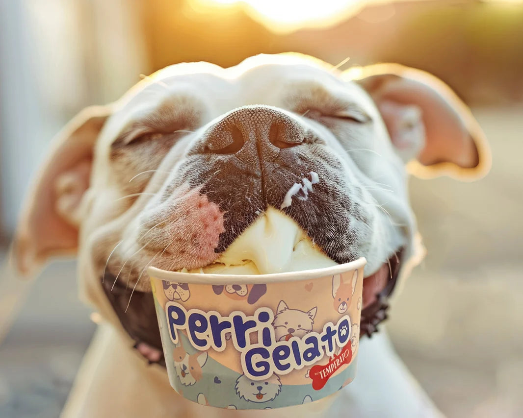 Un perro con una tarrina de Perri Gelato en la boca
