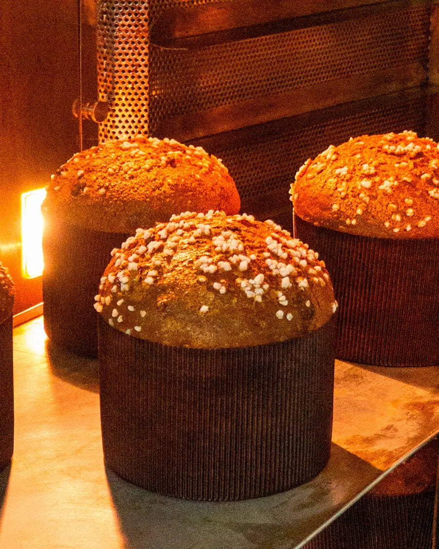 Los panettones dentro del horno del obrador